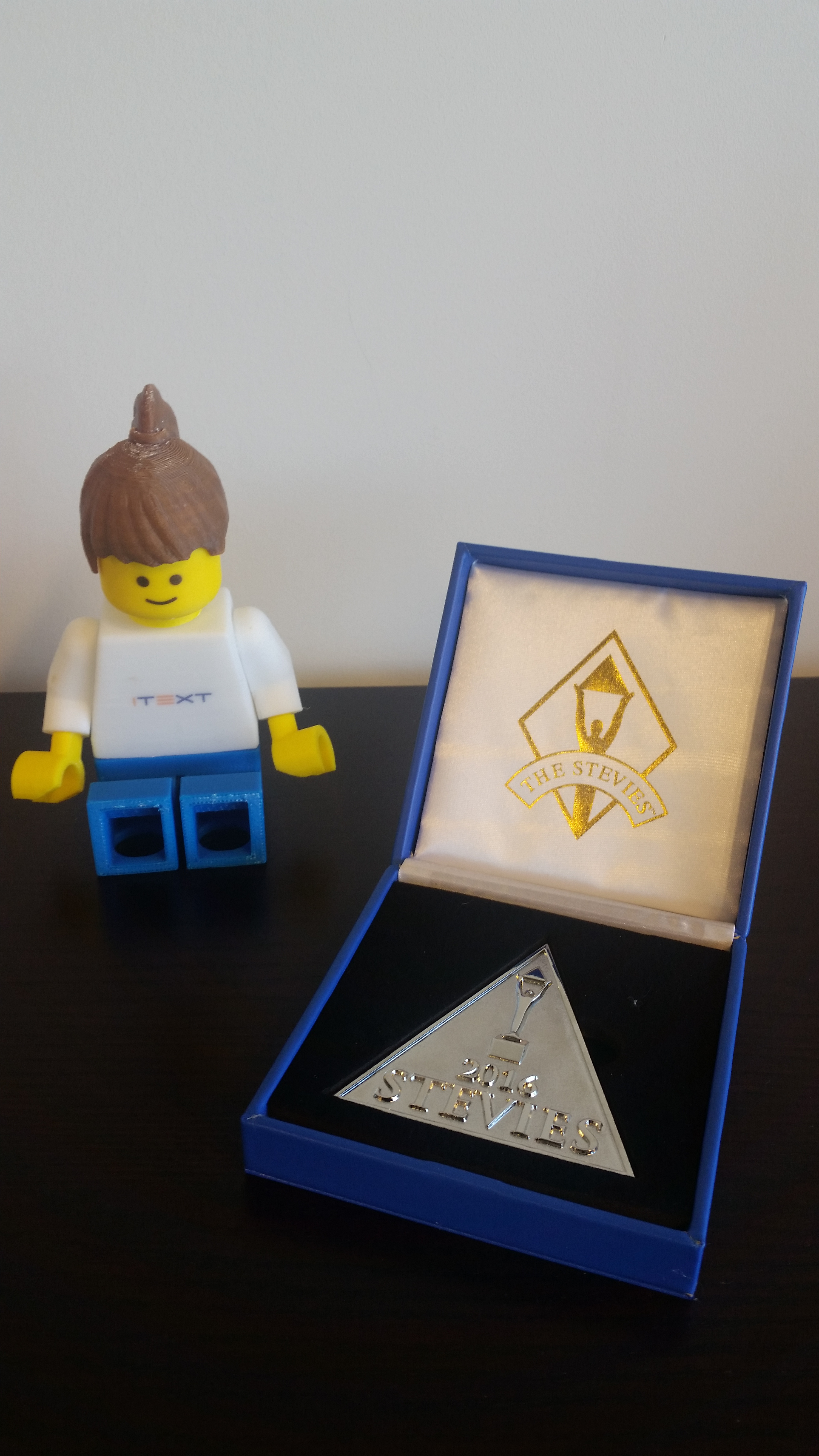 International Business Awards: Silver Stevie