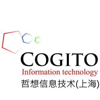 Cogito Information Technology Shanghai